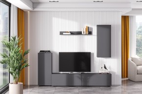 Гостиная МГС 10 (Графит) в Белоярском - beloyarskiy.mebel24.online | фото 1