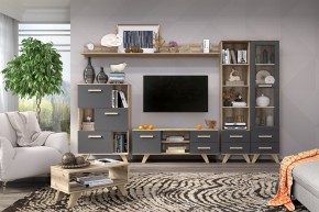 Гостиная Вега Скандинавия (комплект 6) в Белоярском - beloyarskiy.mebel24.online | фото 2