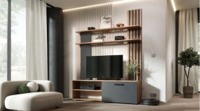 КАРОЛИНА Гостиная (дуб вотан/графит) в Белоярском - beloyarskiy.mebel24.online | фото