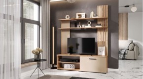 КАРОЛИНА Гостиная (дуб вотан/кашемир) в Белоярском - beloyarskiy.mebel24.online | фото