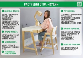 Комплект растущий стол и стул с чехлом 38 попугаев «Вуди» (Серый, Береза, Салют) в Белоярском - beloyarskiy.mebel24.online | фото