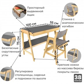 Комплект растущий стол и стул с чехлом 38 попугаев «Вуди» (Серый, Береза, Серый) в Белоярском - beloyarskiy.mebel24.online | фото