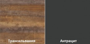 Кухонный гарнитур угловой Трансильвания 2400x1600 мм (Стол. 38 мм) в Белоярском - beloyarskiy.mebel24.online | фото 3