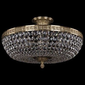 Люстра на штанге Bohemia Ivele Crystal 1911 19111/45IV Pa в Белоярском - beloyarskiy.mebel24.online | фото 2