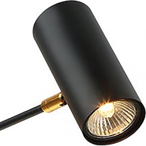 Люстра на штанге Lussole Duncan LSP-8252 в Белоярском - beloyarskiy.mebel24.online | фото 3