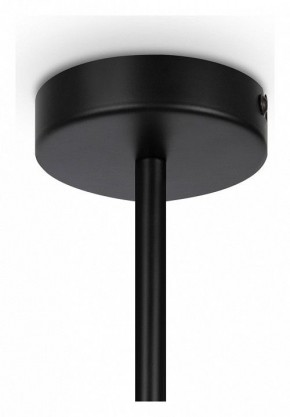 Люстра на штанге Maytoni Memory MOD177PL-04B в Белоярском - beloyarskiy.mebel24.online | фото 4