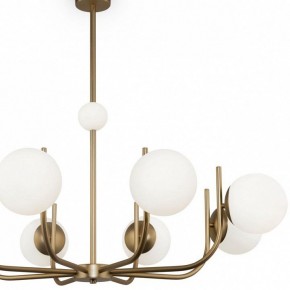 Люстра на штанге Maytoni Rendez-vous MOD109PL-08BS в Белоярском - beloyarskiy.mebel24.online | фото 4