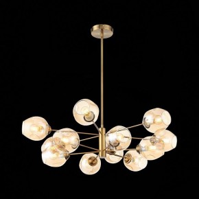 Люстра на штанге ST-Luce Fovia SL1500.203.12 в Белоярском - beloyarskiy.mebel24.online | фото 4