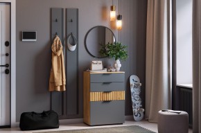 МЕБЕЛЬСОН К21 Прихожая в Белоярском - beloyarskiy.mebel24.online | фото 2