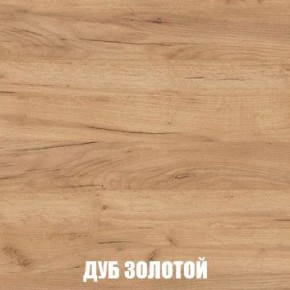 МСП-1 Шкаф 2-х створчатый (Дуб Золотой/Камень темный) в Белоярском - beloyarskiy.mebel24.online | фото 4