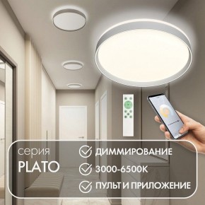 Накладной светильник Denkirs PLATO DK6511-WH/1 в Белоярском - beloyarskiy.mebel24.online | фото 4