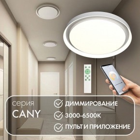 Накладной светильник Denkirs Cany DK6516-WH в Белоярском - beloyarskiy.mebel24.online | фото 5