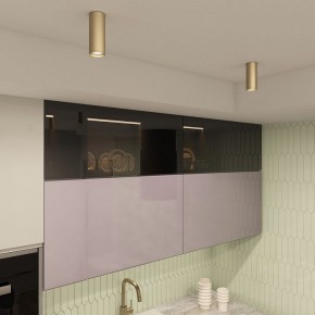 Накладной светильник Denkirs TUBE DK2051-SG в Белоярском - beloyarskiy.mebel24.online | фото 4