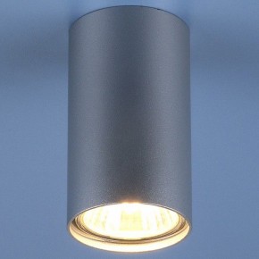 Накладной светильник Elektrostandard 1081 a037714 в Белоярском - beloyarskiy.mebel24.online | фото