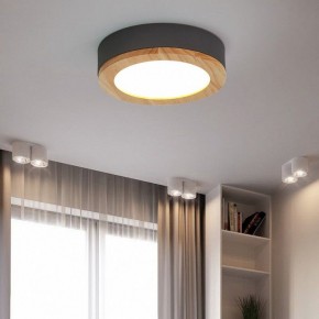 Накладной светильник Imperiumloft Wudda Серый WUDDA01 в Белоярском - beloyarskiy.mebel24.online | фото 4