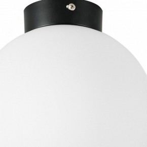 Накладной светильник Lightstar Globo 812027 в Белоярском - beloyarskiy.mebel24.online | фото 2