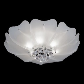 Накладной светильник Lightstar Lobo 804020 в Белоярском - beloyarskiy.mebel24.online | фото 2