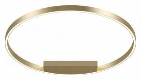 Накладной светильник Maytoni Rim MOD058CL-L50BSK в Белоярском - beloyarskiy.mebel24.online | фото 2