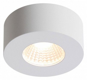 Накладной светильник Odeon Light Bene 4282/7CL в Белоярском - beloyarskiy.mebel24.online | фото 2