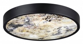 Накладной светильник Odeon Light Bergi 5064/30L в Белоярском - beloyarskiy.mebel24.online | фото 4