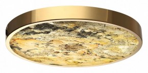 Накладной светильник Odeon Light Bergi 5079/40L в Белоярском - beloyarskiy.mebel24.online | фото 2
