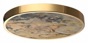 Накладной светильник Odeon Light Bergi 5079/40L в Белоярском - beloyarskiy.mebel24.online | фото 4