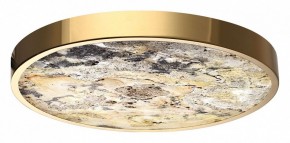Накладной светильник Odeon Light Bergi 5079/40L в Белоярском - beloyarskiy.mebel24.online | фото 6