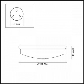 Накладной светильник Odeon Light Marsei 4824/4C в Белоярском - beloyarskiy.mebel24.online | фото 4