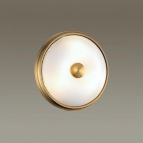 Накладной светильник Odeon Light Pelow 4956/2 в Белоярском - beloyarskiy.mebel24.online | фото 2