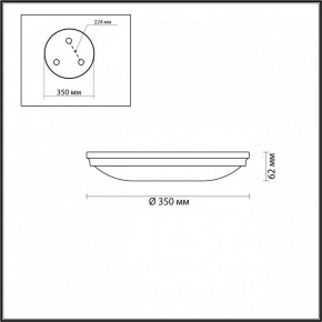 Накладной светильник Odeon Light Pelow 4956/4 в Белоярском - beloyarskiy.mebel24.online | фото 3