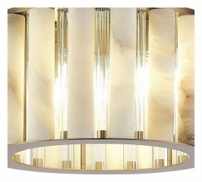 Накладной светильник ST-Luce Delight SL1516.302.06 в Белоярском - beloyarskiy.mebel24.online | фото 4