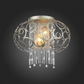 Накладной светильник ST-Luce Dolcima SL1101.201.02 в Белоярском - beloyarskiy.mebel24.online | фото 4