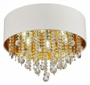 Накладной светильник ST-Luce Lacchia SL1350.502.06 в Белоярском - beloyarskiy.mebel24.online | фото 3
