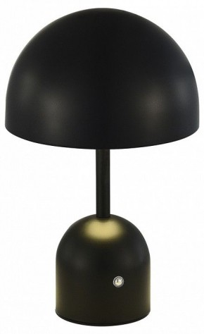Настольная лампа декоративная EVOLUCE Eclat SLE1806-404-01 в Белоярском - beloyarskiy.mebel24.online | фото 2