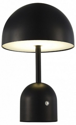 Настольная лампа декоративная EVOLUCE Eclat SLE1806-404-01 в Белоярском - beloyarskiy.mebel24.online | фото 3