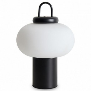 Настольная лампа декоративная Freya Take FR6175TL-L10B в Белоярском - beloyarskiy.mebel24.online | фото 2