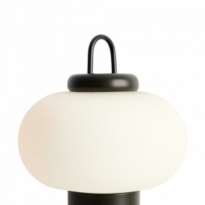 Настольная лампа декоративная Freya Take FR6175TL-L10B в Белоярском - beloyarskiy.mebel24.online | фото 5