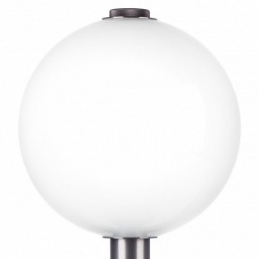 Настольная лампа декоративная Lightstar Colore 805916 в Белоярском - beloyarskiy.mebel24.online | фото 6