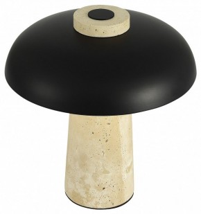 Настольная лампа декоративная ST-Luce Earthy SL1194.424.01 в Белоярском - beloyarskiy.mebel24.online | фото 5