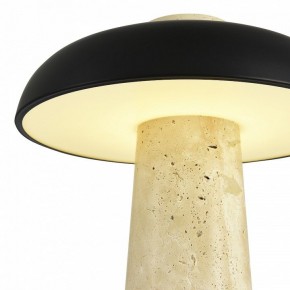 Настольная лампа декоративная ST-Luce Earthy SL1194.424.01 в Белоярском - beloyarskiy.mebel24.online | фото 6