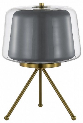 Настольная лампа декоративная ST-Luce Pandora SL6127.314.01 в Белоярском - beloyarskiy.mebel24.online | фото