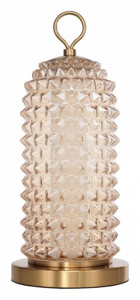 Настольная лампа декоративная ST-Luce SAGUARO SL6144.304.01 в Белоярском - beloyarskiy.mebel24.online | фото
