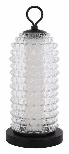 Настольная лампа декоративная ST-Luce SAGUARO SL6144.404.01 в Белоярском - beloyarskiy.mebel24.online | фото