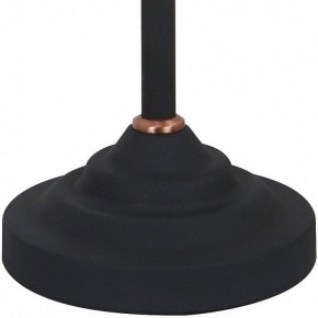 Настольная лампа офисная Arte Lamp Braccio A2054LT-1BK в Белоярском - beloyarskiy.mebel24.online | фото 4