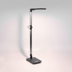 Настольная лампа офисная Elektrostandard Great a065290 в Белоярском - beloyarskiy.mebel24.online | фото 3