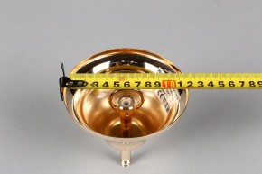 Подвесная люстра Aployt Daniele APL.701.03.12 в Белоярском - beloyarskiy.mebel24.online | фото 6