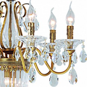 Подвесная люстра Arte Lamp Schelenberg A4410LM-6-2SR в Белоярском - beloyarskiy.mebel24.online | фото 4