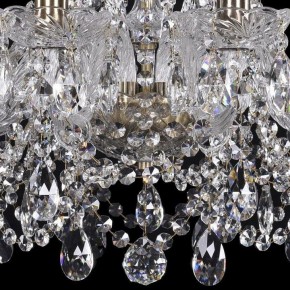 Подвесная люстра Bohemia Ivele Crystal 1411 1411/10/195/Pa в Белоярском - beloyarskiy.mebel24.online | фото 3