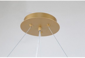 Подвесная люстра Favourite Ginkoa 4080-10P в Белоярском - beloyarskiy.mebel24.online | фото 9