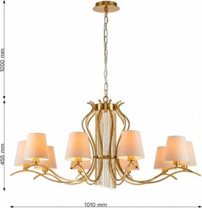 Подвесная люстра Favourite Ketten 2867-10P в Белоярском - beloyarskiy.mebel24.online | фото 4